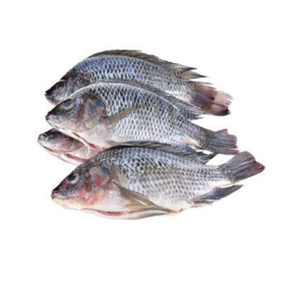 Fresh Tilapia Fish, 1kg
